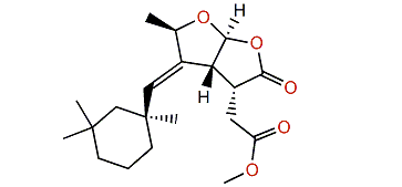 Aplytangene 2